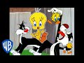 Looney tunes  i taut i taw a putty tat  classic cartoon compilation  wb kids