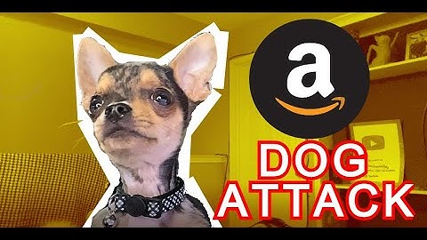 AMAZON DELIVERY DRIVER: DRIVER ATTACKED BY DOG!!!!