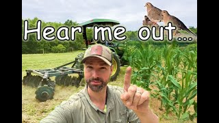 HEAR ME OUT!  | Planting Corn for Doves with a Disc | Dove Farming 2024