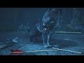 Assassin’s Creed Valhalla - Loki’s Son Fenrir Attacks Odin // First Wolf Boss Fight