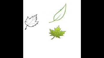 Digital Christian Apologetics: How Creationist Arguments Use AI and Rigged Math to Sneak Past Pee...