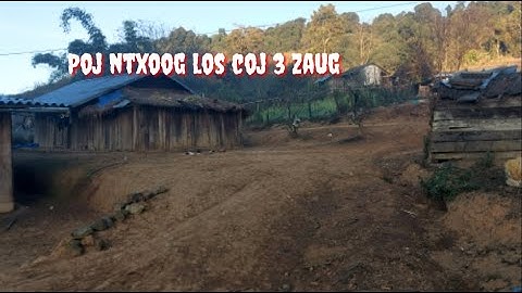 Poj ntxoog los coj maiv huas 3 zaug 14-1-2023