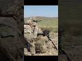 US Army Soldiers Master the Mk.19 Grenade Launcher | Live Fire Training at Fort Sill #shorts