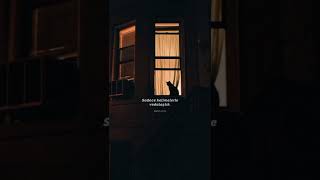 Whatsapp Ucun Maraqli Statuslar Sevgiye Aid Video Sounds App 2022 Status Ucun Video,Menali Video