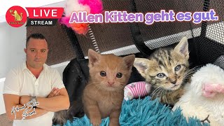 Allen Kitten geht es gut.