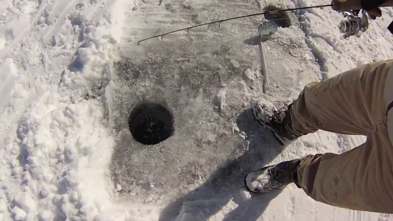 Colorado Ice fishing Trap style. YouTube