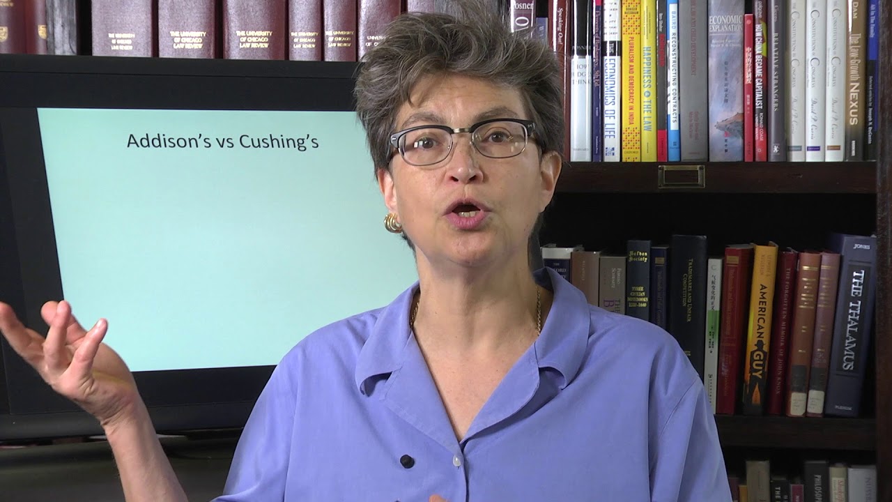 21.6 Hormonal System