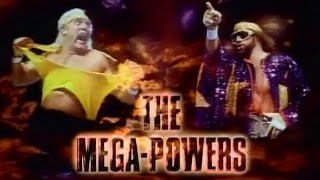 WWE WrestleMania V (1989)  OSW Review #13