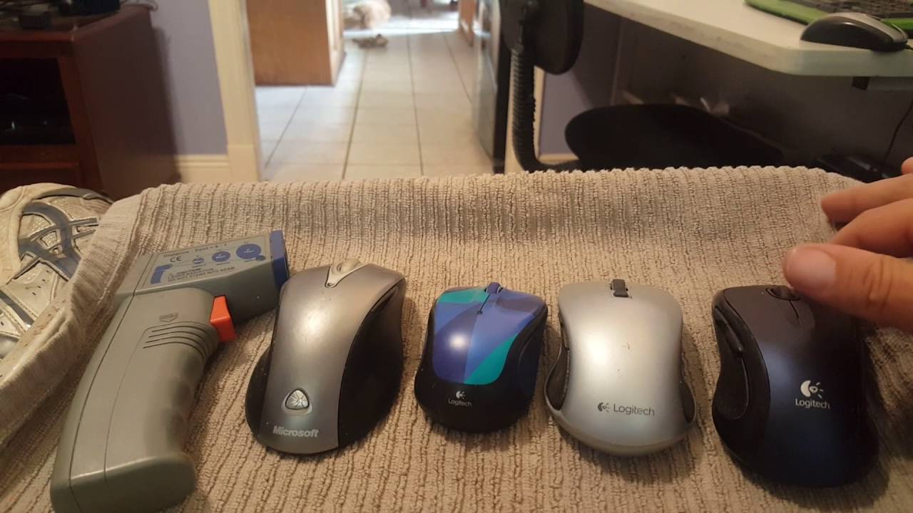 Dog Hearing Test YouTube