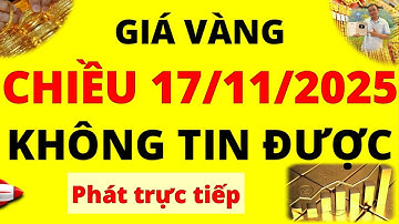 Trực tiếp giá vàng Chiều hôm nay ngày 17/11/2025 - Không tin được giá vàng 9999, vàng Sjc, doji, Pnj