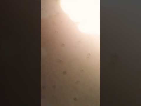 خلف الله بيكم لازم تفضل حبيبيي ساني سعيده هههههههه لبيت عمتي كالت لجاره طرق الدفع لأهله اغفل تنهع