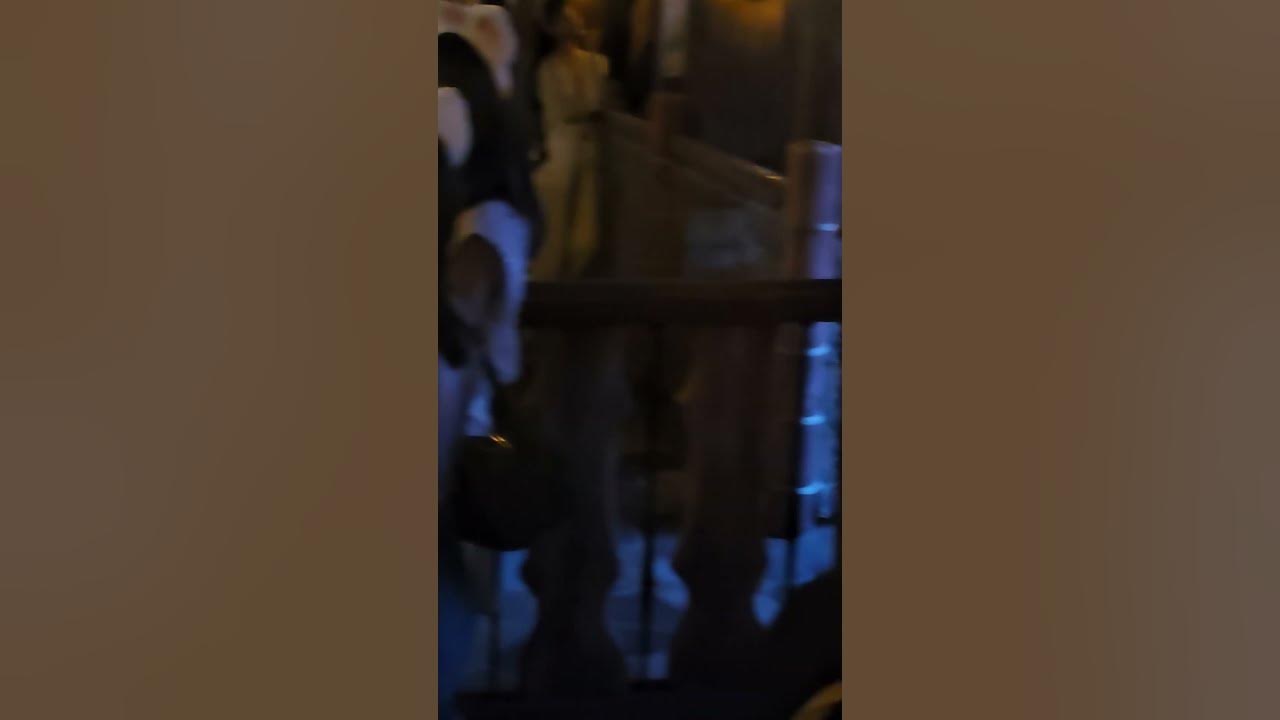 15-tokyo-disneysea-closing-youtube