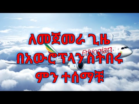 ቪዲዮ: ድመቶችን በአውሮፕላን እንዴት እንደሚያጓጉዙ