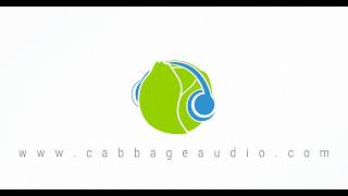 7 - Widgets with Cabbage 3