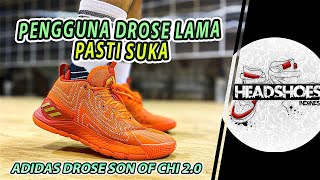 adidas D Rose Son of Chi 2.0 Performance Review | English Subtitles