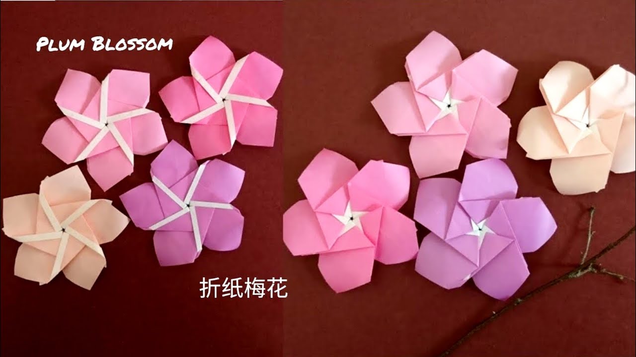 Origami Plum Blossom/ Wintersweet/ 5-petal Flower 折纸梅花(V5