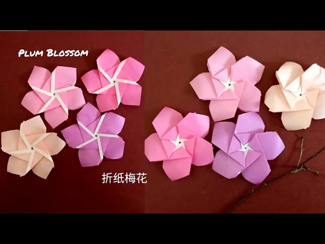Origami Plum Blossom/ Wintersweet/ 5-petal Flower 折纸梅花(V5