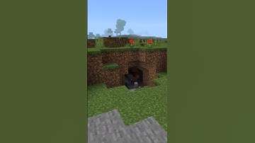 An unexpected end 😂