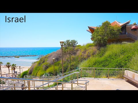 Video: Medisinsk Turisme I Israel
