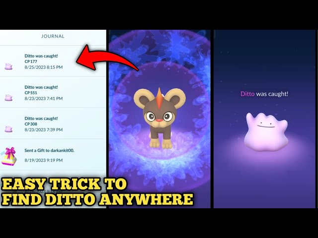 How to catch Ditto in Pokémon GO — Easy guide for 2023