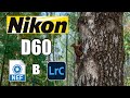 Стрим #70: крутим RAWшки с NIKON D60 в Lightroom Classic. Цвет, динамический диапазон, шумы.