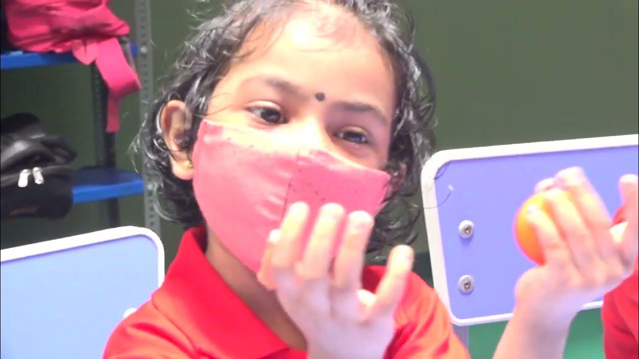 SINK or FLOAT ? Stage 1 Science lesson YouTube