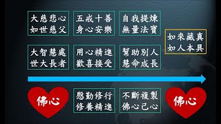 惟智薰法香心得20210804 靜思法髓妙蓮華814集