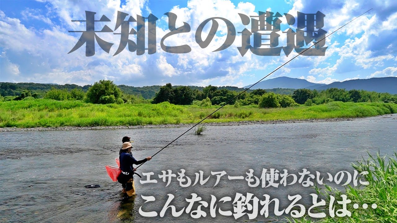 ルアーもエサも使わず釣りまくる。日本古来の伝統釣法は想像よりずっと釣れる釣りだった件。 - YouTube