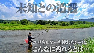 え？こんなに釣れるの…？いつかやりたいと思ってた“あの釣り”は想像よりずっと釣れる釣りだった件。