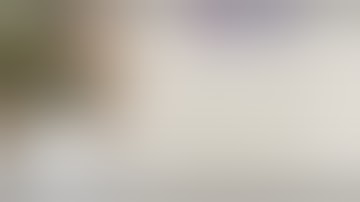 CNN & MOBILENET_v2 model for oil palm FFB ripeness classification