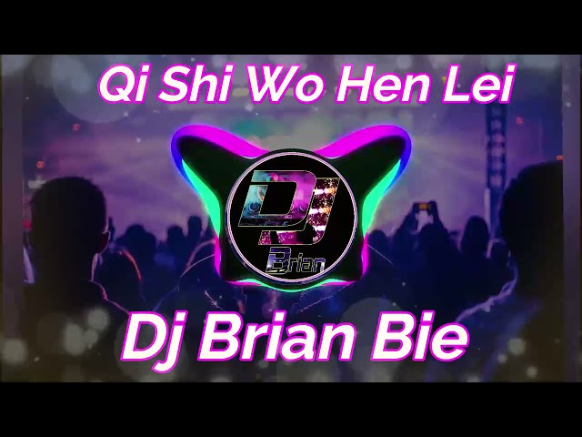 Qi Shi Wo Hen Lei 其实我很累 Remix By Dj Brian Bie class=