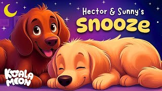 Hector & Sunnys Snooze Calming Bedtime Stories For Kids 2 Hours No Ads Koala Moon