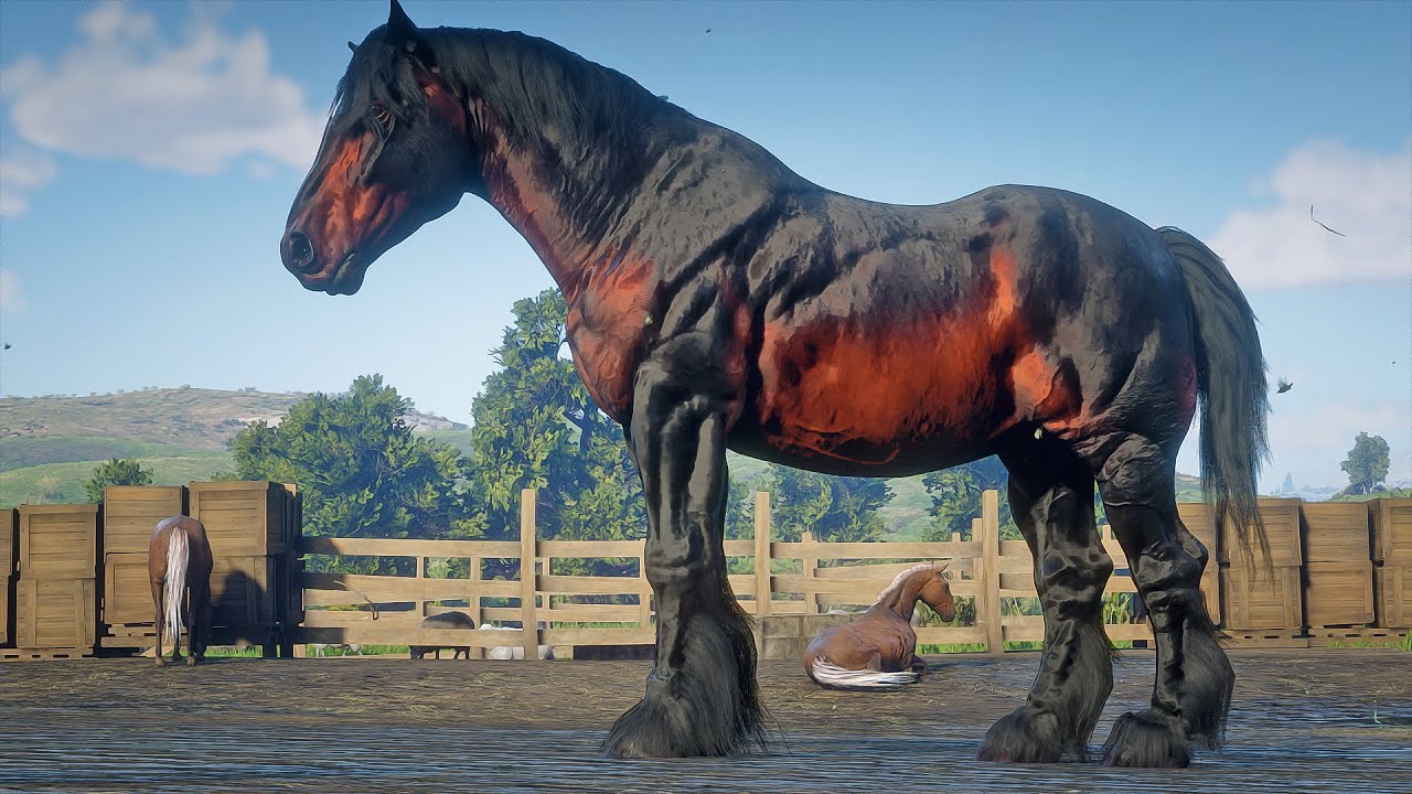 Джон Марстон приручает огромного бретонского коня бурого окраса на ранчо «Изумруд» в Red Dead Red...