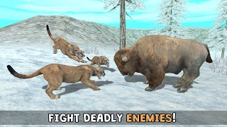 Wild Cougar Sim 3D Android Gameplay screenshot 5