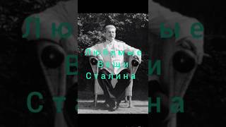 Любимые вещи Сталина#исторические факты # подпишись #история