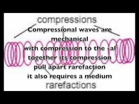 Waves(Transverse and compressional waves) - YouTube