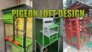 Simple Pigeon Loft Design Idea Youtube