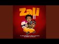 Zali II