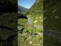 Карачаево-Черкесия июнь 2025