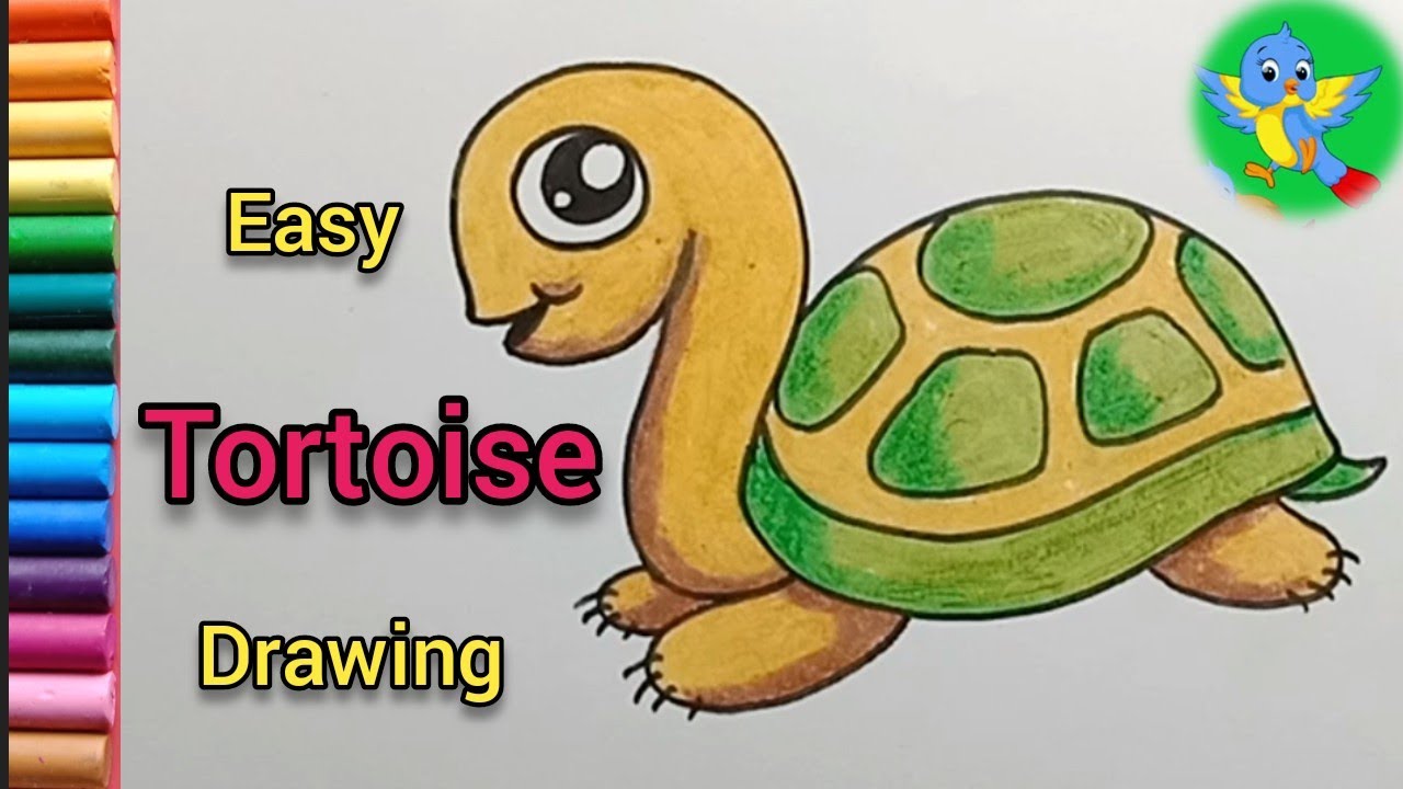 Easy and simple Tortoise drawing | How to draw cute Tortoise - YouTube