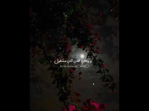 لسه سامع كل كلمة قالها ليا عمرو دياب حالات واتس اب رومانسية