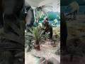 #arslanshorts #trending #viral dinosaur museum