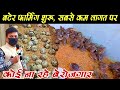 #QUAIL_FARM । बटेर पालन की पूरी जानकारी।। How to start quail farming in India । ghaghar palan