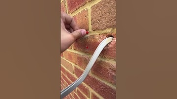 How to install outside plug socket Do you spur or extend the ring? #electricial #howto #diy