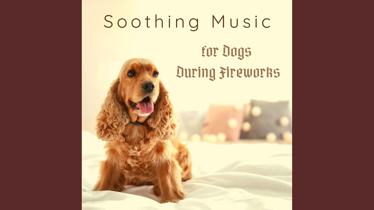 Soothing Sounds For Dogs YouTube soothing-sounds-for-dogs-youtube