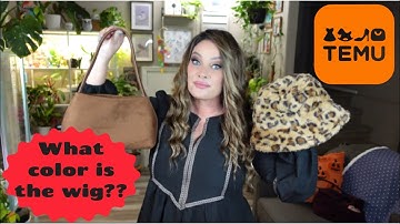 TEMU TRY-ON HAUL | DON