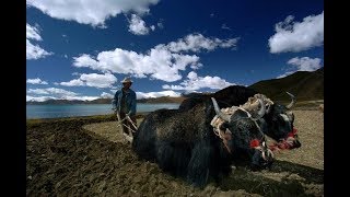 Видео Энвер Измайлов. Как сформировать гармоничное общество? (автор: Энвер Измайлов)