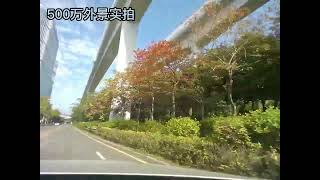 "Perspective Eye" for Daytime Road Conditions! 5MP Car Front View Camera Module