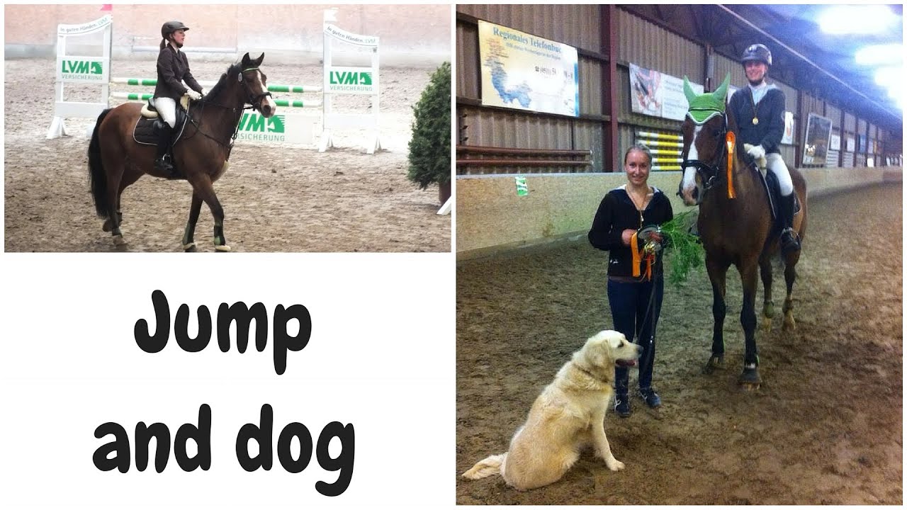 Jump and Dog im RFV Springe - der Reitclub holt Gold