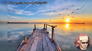 تلاوة خاشعة من سورة القصص بصوت الشيخ محمد عمران